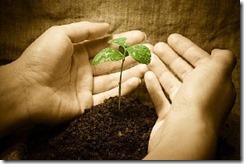 sowing-and-reaping[6]